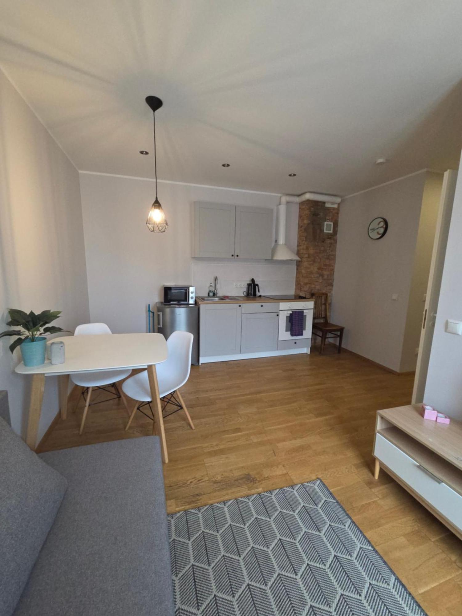 Suur-Ameerika Apartment タリン 部屋 写真